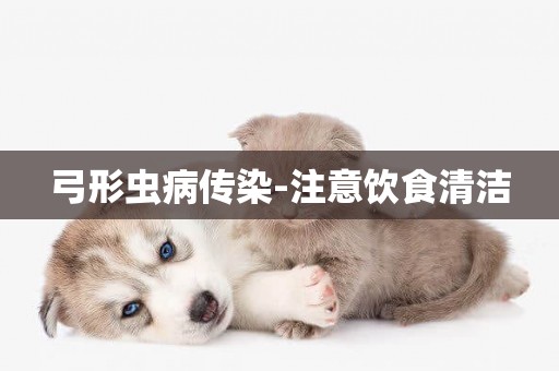 弓形蟲病傳染-注意飲食清潔