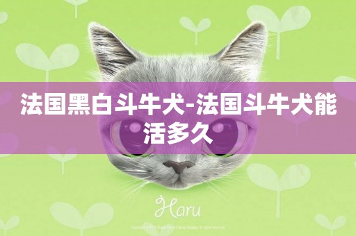 法國黑白斗牛犬-法國斗牛犬能活多久