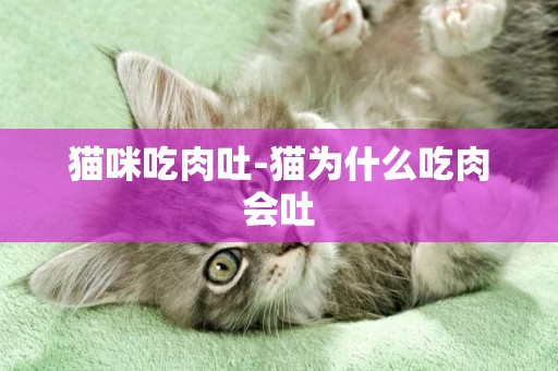貓咪吃肉吐-貓為什么吃肉會吐