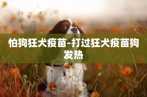 怕狗狂犬疫苗-打過狂犬疫苗狗發熱