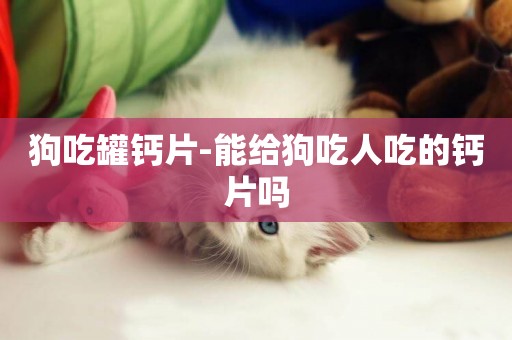 狗吃罐鈣片-能給狗吃人吃的鈣片嗎
