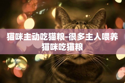 貓咪主動吃貓糧-很多主人喂養貓咪吃貓糧