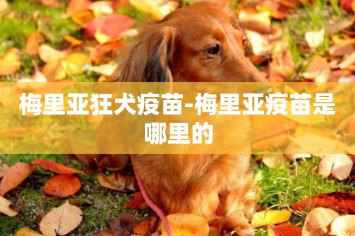 梅里亞狂犬疫苗-梅里亞疫苗是哪里的