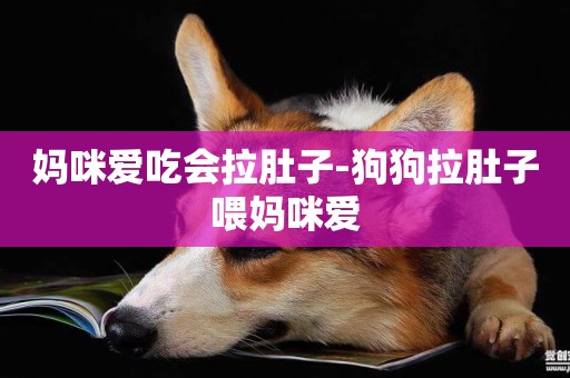 媽咪愛吃會拉肚子-狗狗拉肚子喂媽咪愛