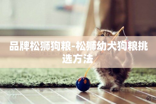 品牌松獅狗糧-松獅幼犬狗糧挑選方法