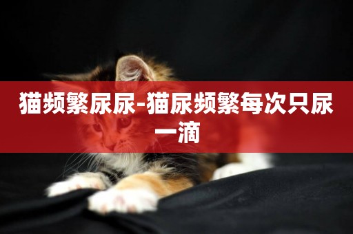 貓頻繁尿尿-貓尿頻繁每次只尿一滴