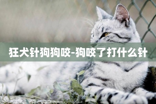狂犬針狗狗咬-狗咬了打什么針