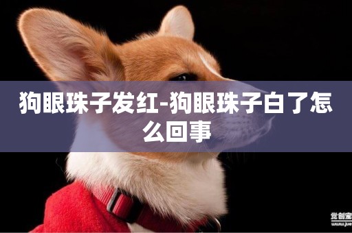 狗眼珠子發紅-狗眼珠子白了怎么回事