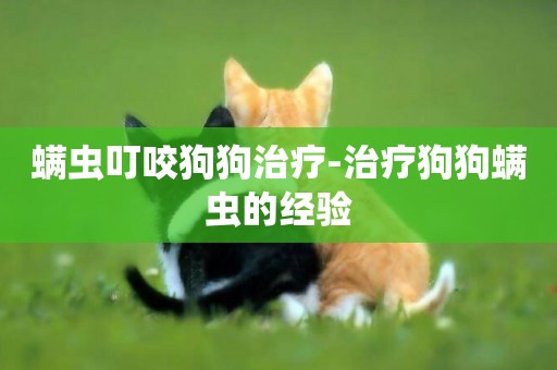螨蟲叮咬狗狗治療-治療狗狗螨蟲的經驗