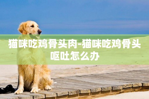 貓咪吃雞骨頭肉-貓咪吃雞骨頭嘔吐怎么辦