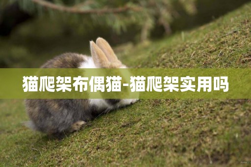 貓爬架布偶貓-貓爬架實用嗎