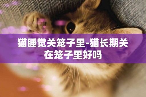 貓睡覺關籠子里-貓長期關在籠子里好嗎