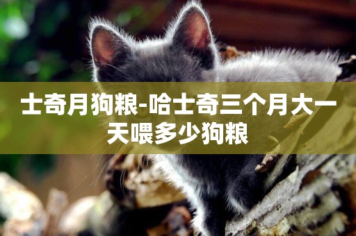 士奇月狗糧-哈士奇三個月大一天喂多少狗糧