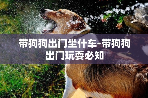 帶狗狗出門坐什車-帶狗狗出門玩耍必知