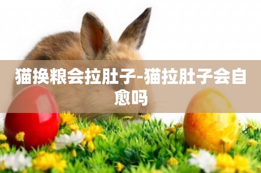 貓換糧會拉肚子-貓拉肚子會自愈嗎
