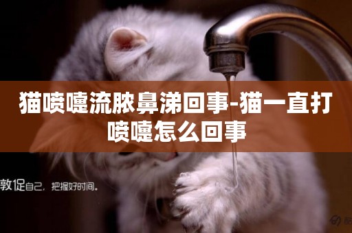 貓噴嚏流膿鼻涕回事-貓一直打噴嚏怎么回事