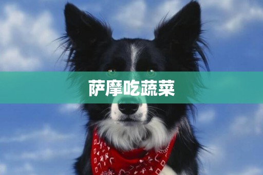 薩摩吃蔬菜