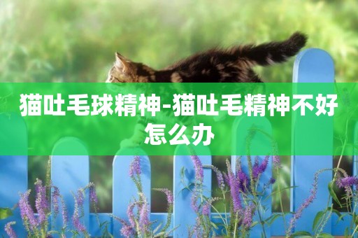 貓吐毛球精神-貓吐毛精神不好怎么辦