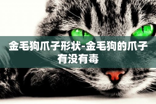 金毛狗爪子形狀-金毛狗的爪子有沒有毒