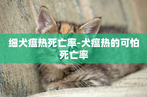 細犬瘟熱死亡率-犬瘟熱的可怕死亡率