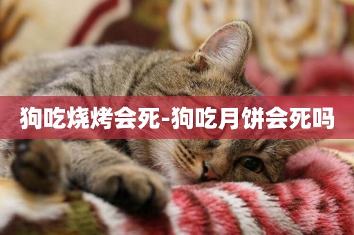 狗吃燒烤會死-狗吃月餅會死嗎