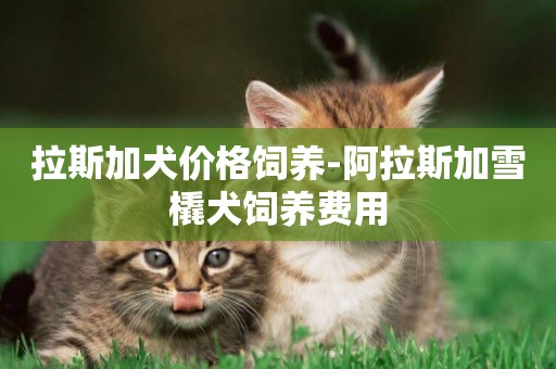 拉斯加犬價格飼養-阿拉斯加雪橇犬飼養費用