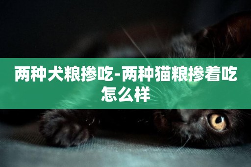 兩種犬糧摻吃-兩種貓糧摻著吃怎么樣