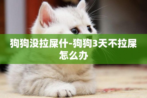 狗狗沒拉屎什-狗狗3天不拉屎怎么辦