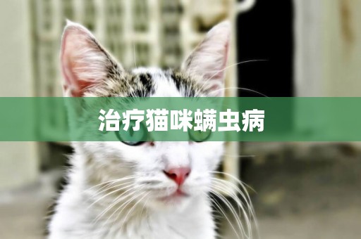 治療貓咪螨蟲病
