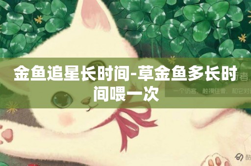 金魚追星長時間-草金魚多長時間喂一次