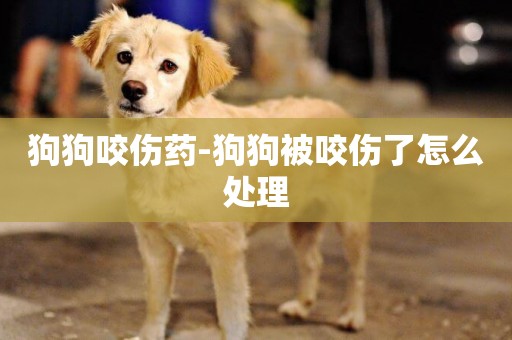 狗狗咬傷藥-狗狗被咬傷了怎么處理
