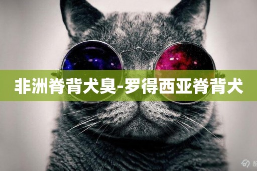 非洲脊背犬臭-羅得西亞脊背犬