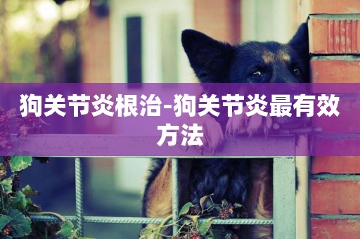 狗關節炎根治-狗關節炎最有效方法