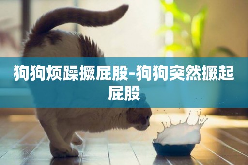 狗狗煩躁撅屁股-狗狗突然撅起屁股