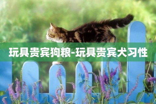 玩具貴賓狗糧-玩具貴賓犬習性