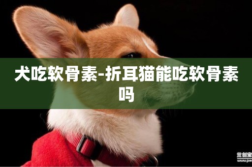犬吃軟骨素-折耳貓能吃軟骨素嗎
