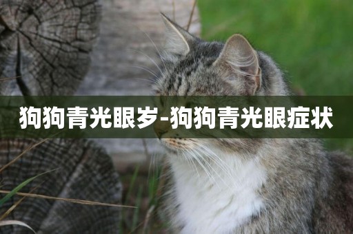 狗狗青光眼歲-狗狗青光眼癥狀