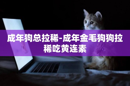 成年狗總拉稀-成年金毛狗狗拉稀吃黃連素