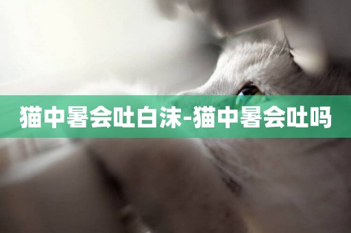 貓中暑會吐白沫-貓中暑會吐嗎