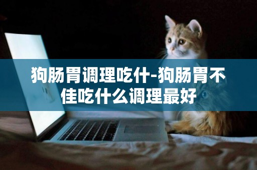 狗腸胃調理吃什-狗腸胃不佳吃什么調理最好