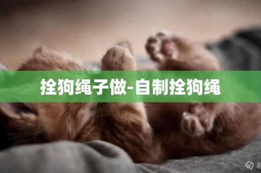 拴狗繩子做-自制拴狗繩