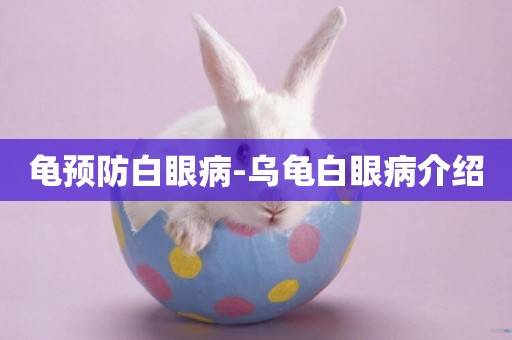 龜預防白眼病-烏龜白眼病介紹