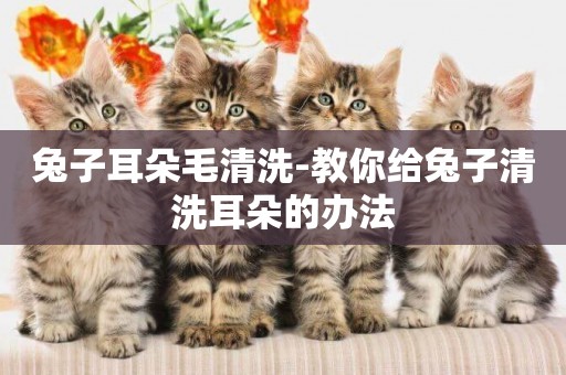 兔子耳朵毛清洗-教你給兔子清洗耳朵的辦法
