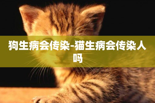狗生病會傳染-貓生病會傳染人嗎