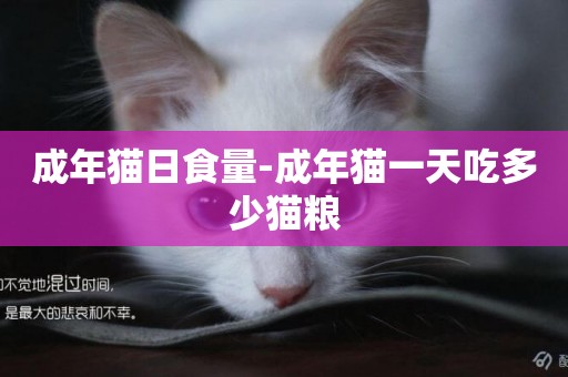 成年貓日食量-成年貓一天吃多少貓糧
