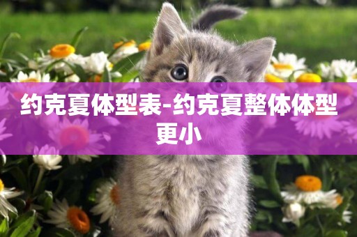 約克夏體型表-約克夏整體體型更小