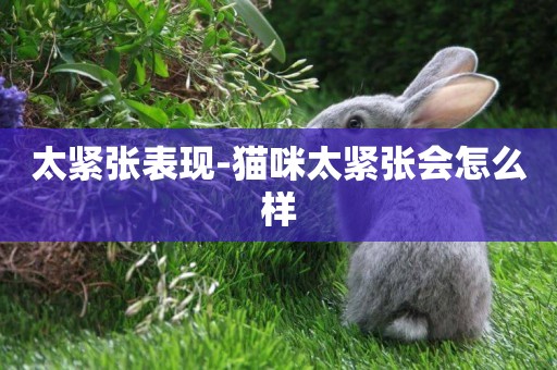 太緊張表現-貓咪太緊張會怎么樣