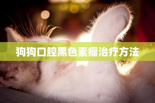 狗狗口腔黑色素瘤治療方法