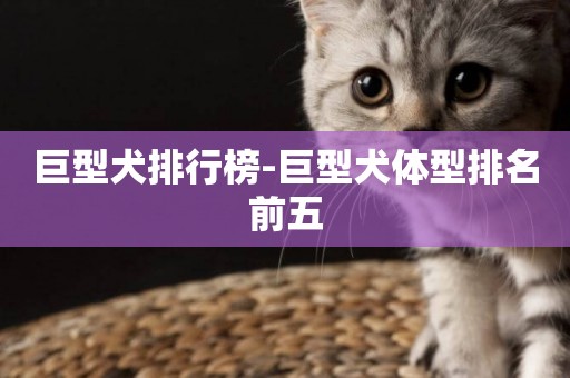 巨型犬排行榜-巨型犬體型排名前五