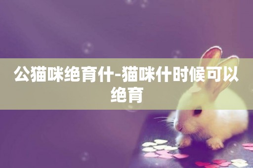 公貓咪絕育什-貓咪什時候可以絕育